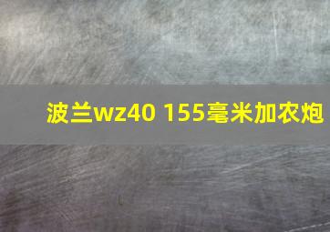 波兰wz40 155毫米加农炮